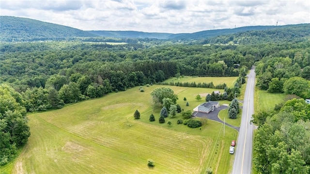 7156 County Line Rd, Naples, NY 14512 - aerial view of sparsely populated area with a forest