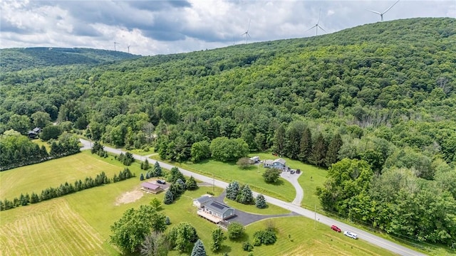 7156 County Line Rd, Naples, NY 14512 - drone / aerial view of a heavily wooded area