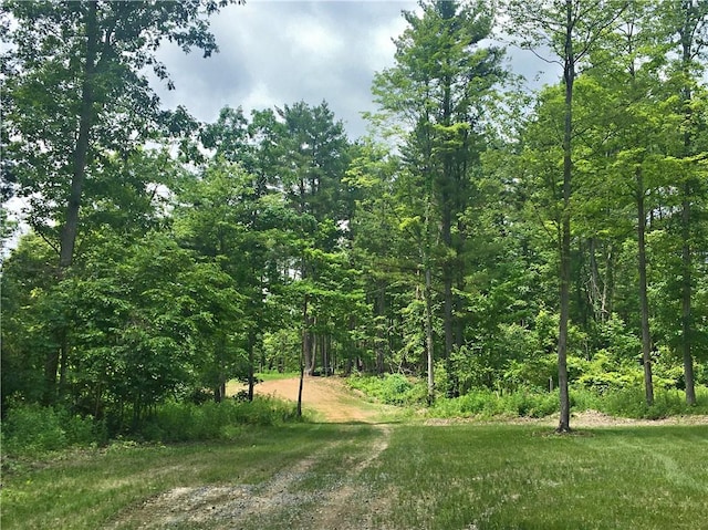 1229B Middle Rd, Veteran, NY 14845
