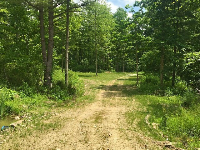 1229B Middle Rd, Veteran, NY 14845