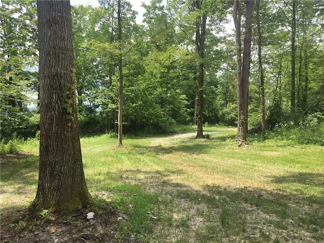 1229B Middle Rd, Veteran, NY 14845