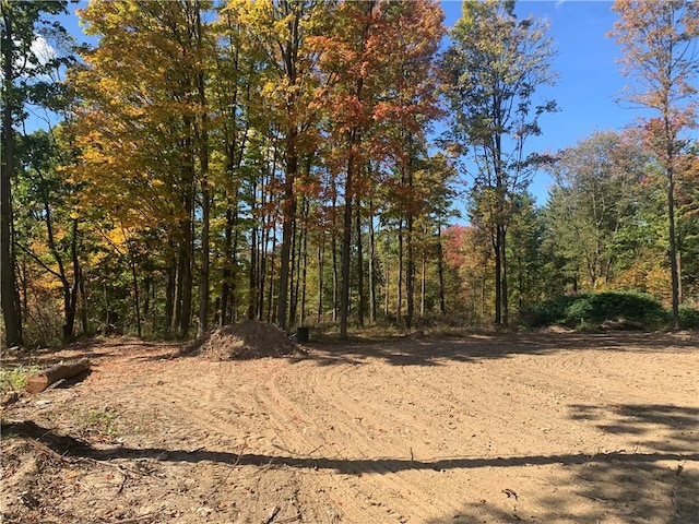 1229B Middle Rd, Veteran, NY 14845