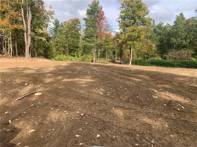 1229B Middle Rd, Veteran, NY 14845