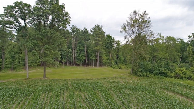 1229B Middle Rd, Veteran, NY 14845
