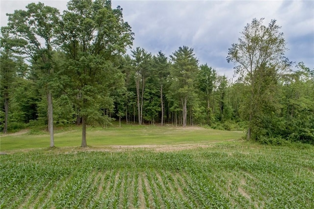 1229B Middle Rd, Veteran, NY 14845