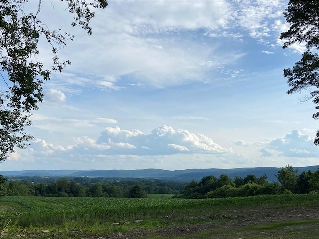 1229B Middle Rd, Veteran, NY 14845