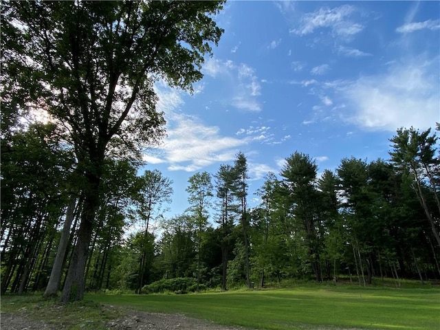 1229B Middle Rd, Veteran, NY 14845