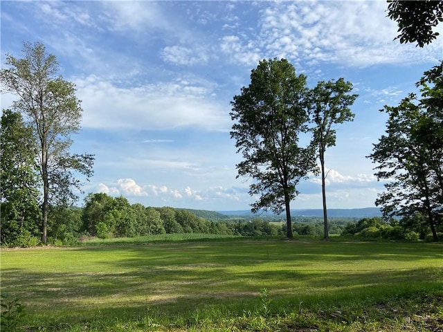 1229B Middle Rd, Veteran, NY 14845