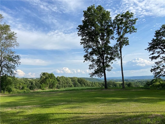1229B Middle Rd, Veteran, NY 14845