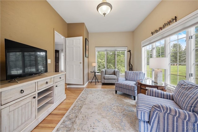 8067 Irish Mist Ln, Manlius, NY 13104 - living room with plenty of natural light and light wood-style flooring