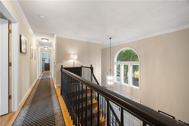 8067 Irish Mist Ln, Manlius, NY 13104 - corridor featuring an upstairs landing, light wood-style flooring, and ornamental molding