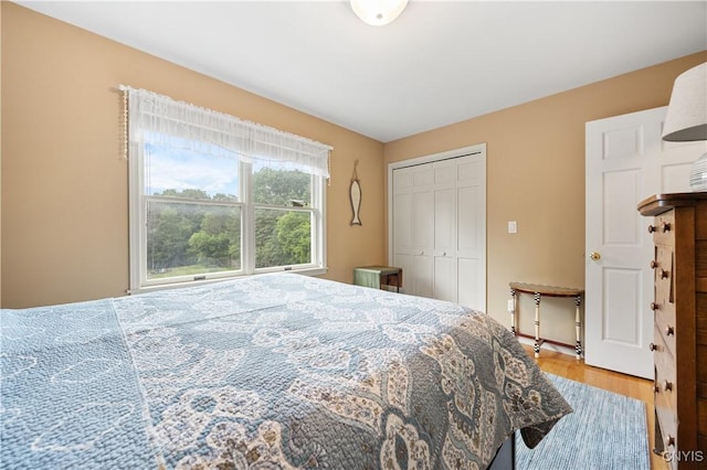 8067 Irish Mist Ln, Manlius, NY 13104 - bedroom with wood finished floors and a closet