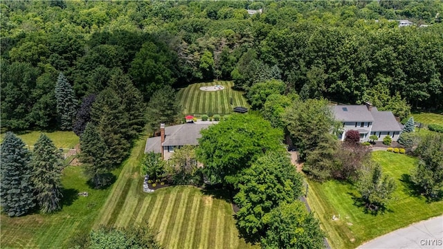 8067 Irish Mist Ln, Manlius, NY 13104 - aerial view of property and surrounding area featuring a forest