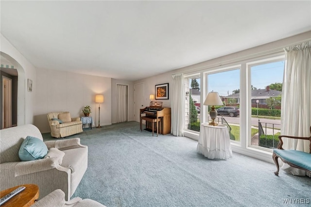 66 Gierlach St, Cheektowaga, NY 14212 - living room featuring carpet and arched walkways