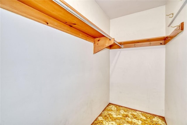 163 Auramar Dr, Irondequoit, NY 14609 - view of walk in closet