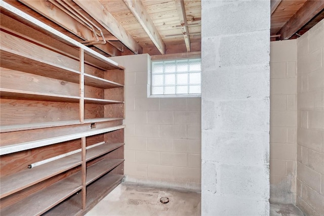 163 Auramar Dr, Irondequoit, NY 14609 - basement with concrete block wall
