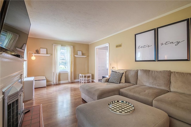 189 Hoover Rd, Irondequoit, NY 14617 - living area featuring wood finished floors, ornamental molding, and a textured ceiling