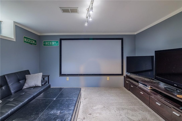 189 Hoover Rd, Irondequoit, NY 14617 - carpeted cinema with ornamental molding