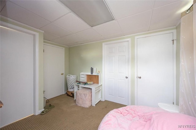 2906 Pine Ave, Niagara Falls, NY 14301 - bedroom with light colored carpet and a drop ceiling