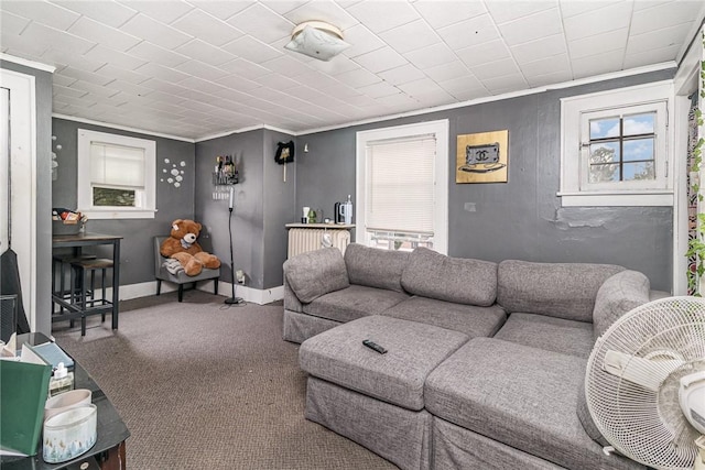 1570 Mount Hope Ave, Rochester, NY 14620 - carpeted living area featuring crown molding and healthy amount of natural light