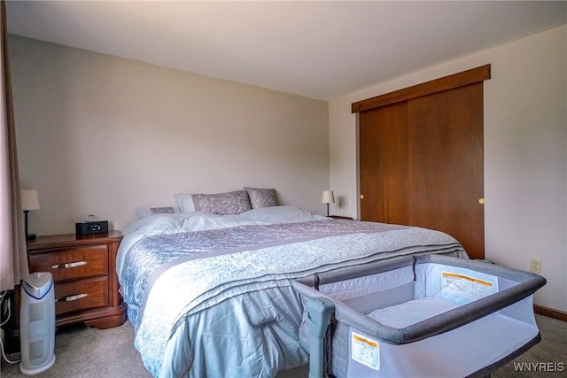 117 Colony St, Lancaster, NY 14043 - bedroom with carpet flooring and a closet