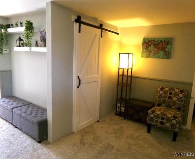 117 Colony St, Lancaster, NY 14043 - living area with a barn door and carpet floors