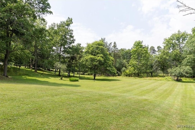 356 Union Rd, West Seneca, NY 14224 - view of community with a lawn and view of scattered trees