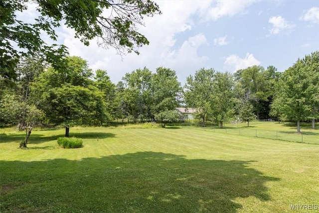 356 Union Rd, West Seneca, NY 14224 - view of yard