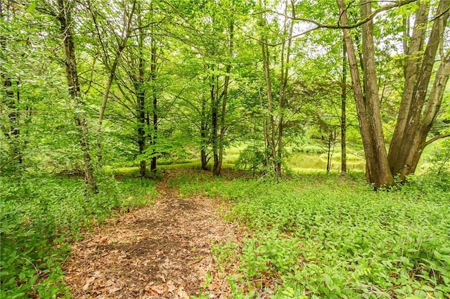 1537 Cranberry Pond, Victor, NY 14564 - view of wooded area
