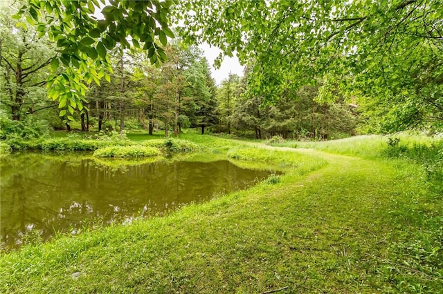 1537 Cranberry Pond, Victor, NY 14564 - view of yard with a forest view and a water view