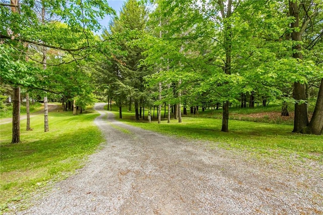 1537 Cranberry Pond, Victor, NY 14564 - view of dirt / gravel road