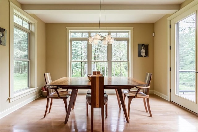 1537 Cranberry Pond, Victor, NY 14564 - dining room featuring light wood-style floors and a chandelier