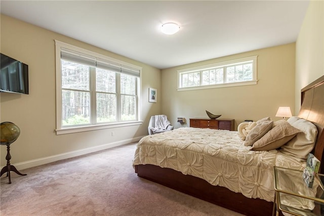 1537 Cranberry Pond, Victor, NY 14564 - bedroom featuring carpet floors and baseboards