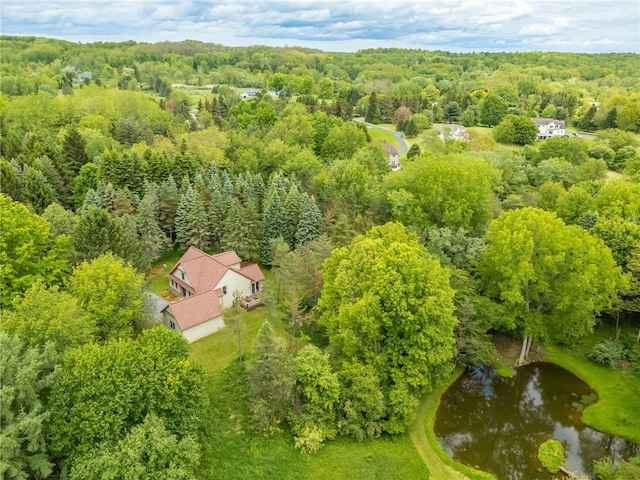 1537 Cranberry Pond, Victor, NY 14564 - drone / aerial view of a heavily wooded area and a nearby body of water
