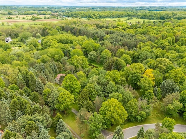 1537 Cranberry Pond, Victor, NY 14564 - aerial view of a forest