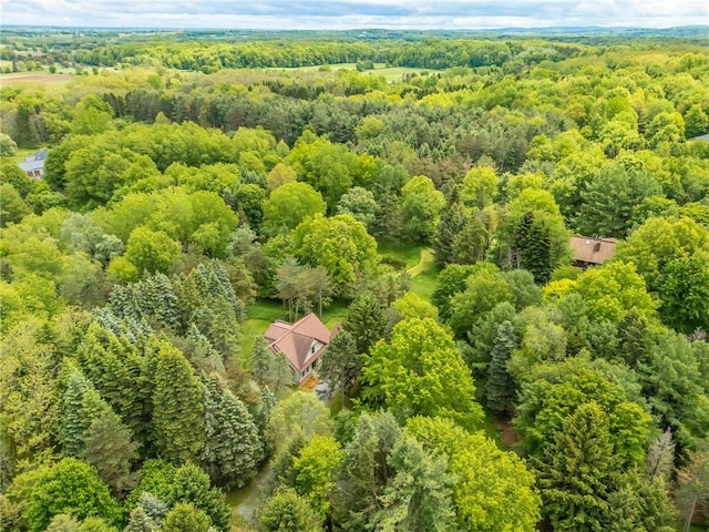 1537 Cranberry Pond, Victor, NY 14564 - aerial view of a heavily wooded area