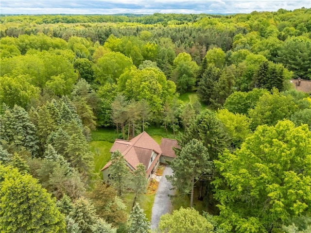 1537 Cranberry Pond, Victor, NY 14564 - view from above of property with a heavily wooded area