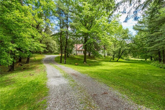 1537 Cranberry Pond, Victor, NY 14564 - view of road