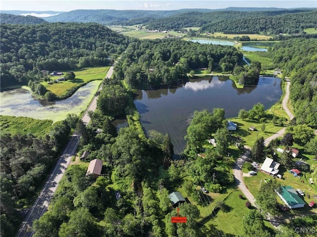 108 Linlyco Lake Rd, New Albion, NY 14719 - aerial view of property and surrounding area with a heavily wooded area and a large body of water
