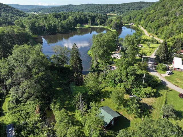 108 Linlyco Lake Rd, New Albion, NY 14719 - bird's eye view of a forest and a nearby body of water