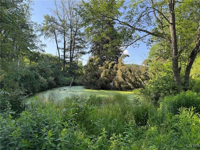 108 Linlyco Lake Rd, New Albion, NY 14719 - view of woods with a water view