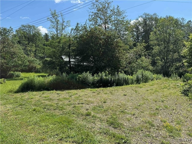108 Linlyco Lake Rd, New Albion, NY 14719 - view of yard