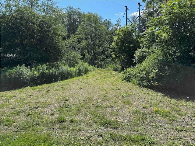 108 Linlyco Lake Rd, New Albion, NY 14719 - view of local wilderness