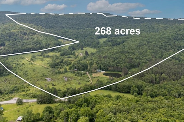 4197 County Highway 26, Colchester, NY 13782 - view of property location featuring a forest and property parcel outlined