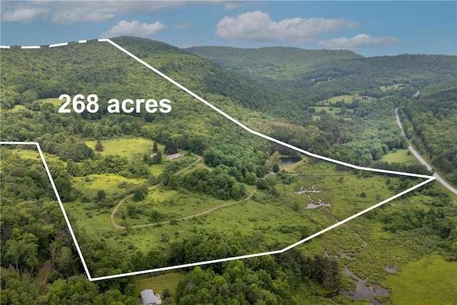 4197 County Highway 26, Colchester, NY 13782 - aerial view of property and surrounding area featuring property parcel outlined and a forest
