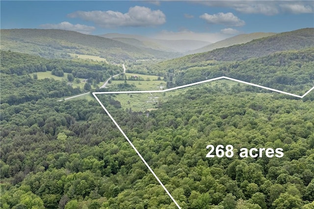 4197 County Highway 26, Colchester, NY 13782 - aerial view of property and surrounding area with property boundaries highlighted and a mountain backdrop