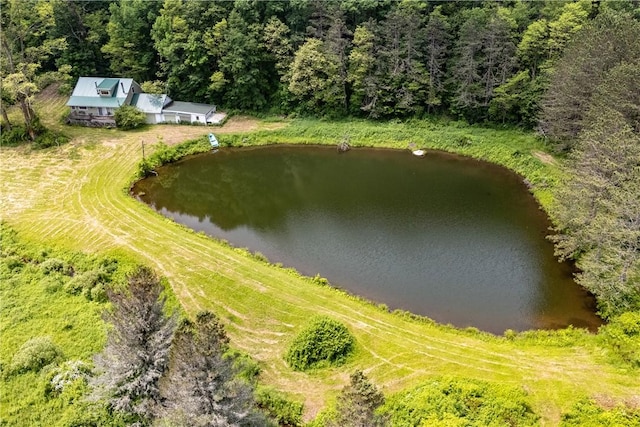 4197 County Highway 26, Colchester, NY 13782 - view from above of property featuring a nearby body of water and a heavily wooded area