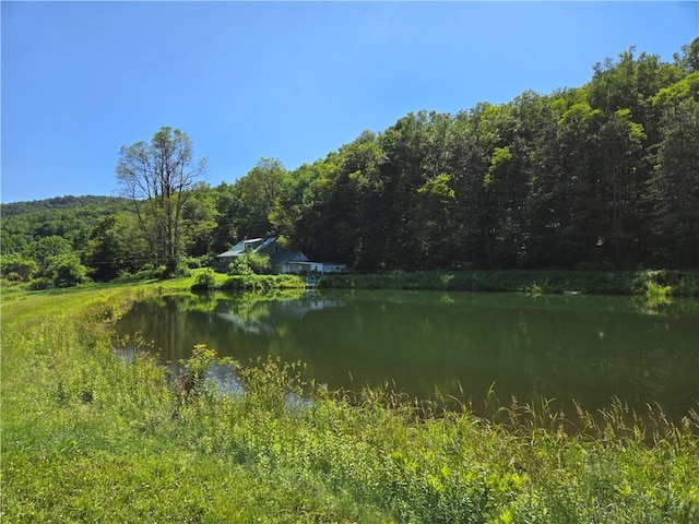 4197 County Highway 26, Colchester, NY 13782 - water view with a heavily wooded area