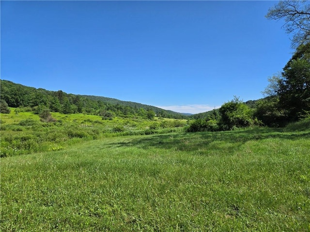 4197 County Highway 26, Colchester, NY 13782 - mountain view