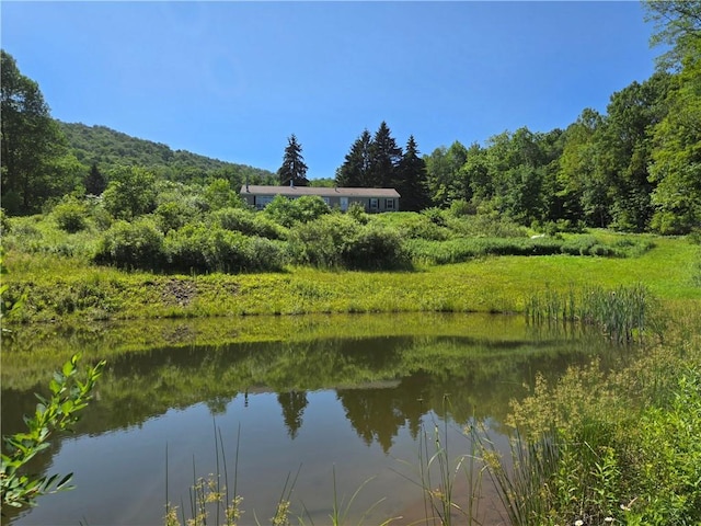 4197 County Highway 26, Colchester, NY 13782 - water view featuring a heavily wooded area